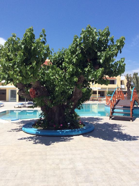 Angelos Beach Hotel Φαληράκι Εξωτερικό φωτογραφία